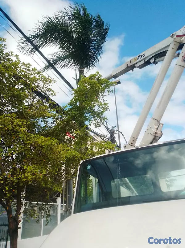servicios profesionales - Soy electrisista a domisilio si tienes cual quier  3