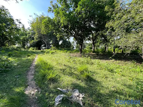 casas - Oportunidad! 38,000 m² en Nigua - Ideal para Naves o Parqueo 5