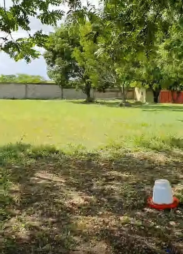 solares y terrenos - Solar en venta en Boca Chica 7