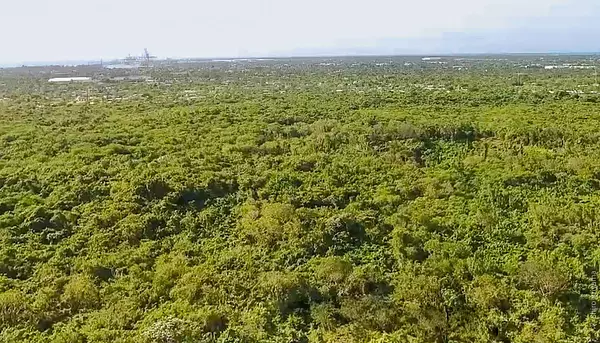 solares y terrenos - VENTA TERRENO EN BOCA CHICA REPÚBLICA DOMINICANA 4