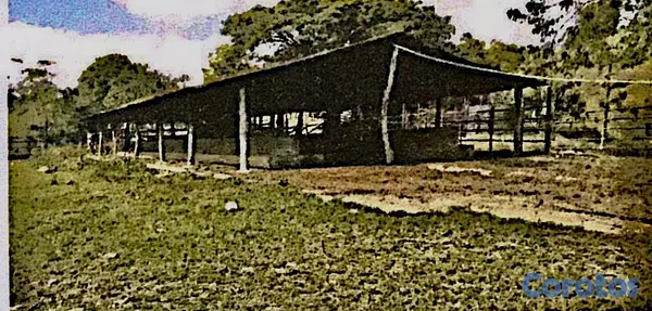 solares y terrenos - finca de 729 tareas en san José de las matas  5