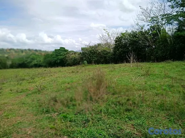 solares y terrenos - finca de 100 tareas con vocación agrícola y ganadera en yamasa  11