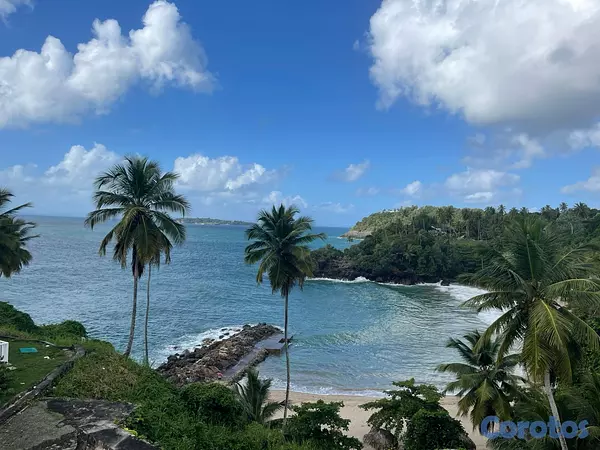 apartamentos - Vive Frente al Océano en Samaná – Apartamento Amue 5
