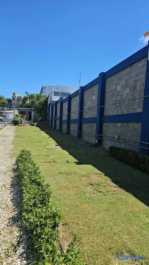 servicios profesionales - Servicio de Mantenimiento de Jardines 2