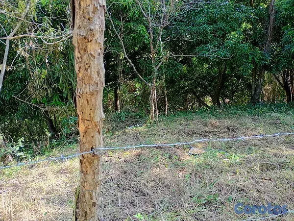 solares y terrenos - VENDO terreno en el Vacacional Matua 3