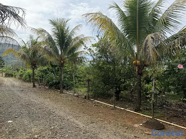 casas vacacionales y villas - Finca con Villa en Bonao 13