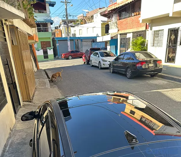 carros - K5 2019 lpi techo panorámico  3