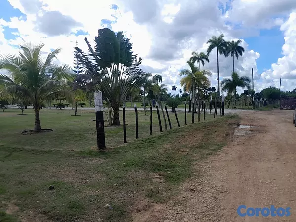 solares y terrenos - venta de finca de 15,193mts en Higuey República Dominicana  2