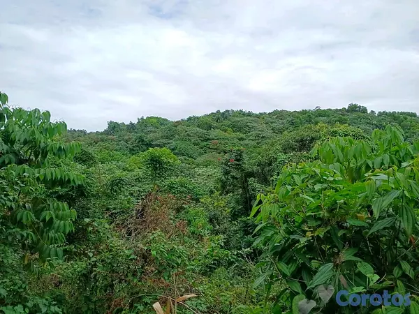 solares y terrenos - finca de 120 tareas con vocación agrícola en Monte Plata  4