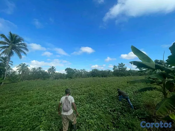 otros inmuebles - finca de 42 tareas en monte plata  4