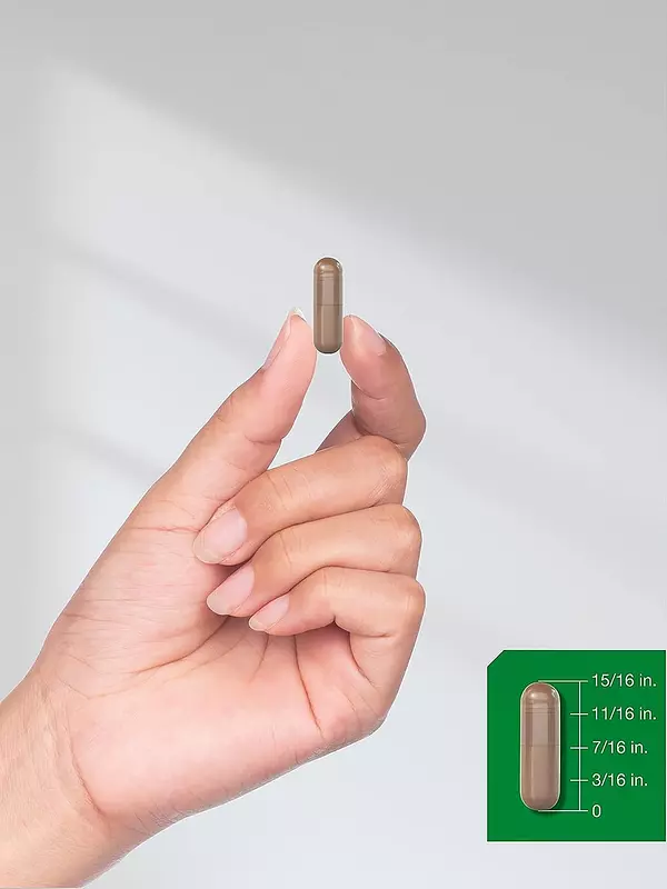 Salud y Equipamiento Médico - Extracto Hongo De  Melena 4200m 4