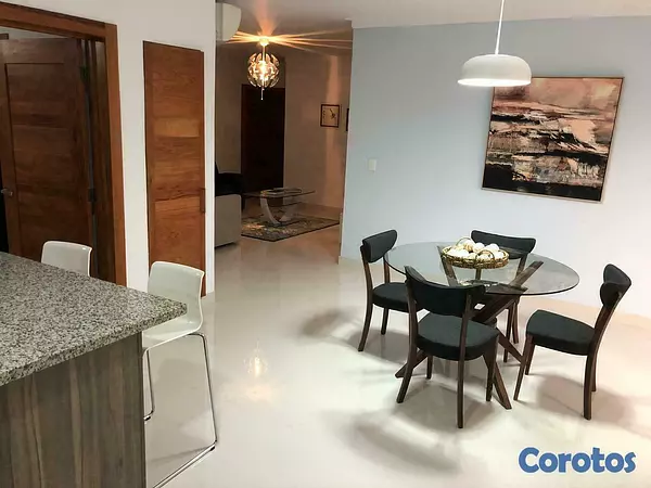 apartamentos - Bella Vista Amueblado con hermosa vista 2