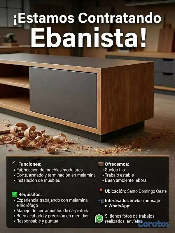 empleos disponibles - Empleo para ebanista sueldo fijo 2