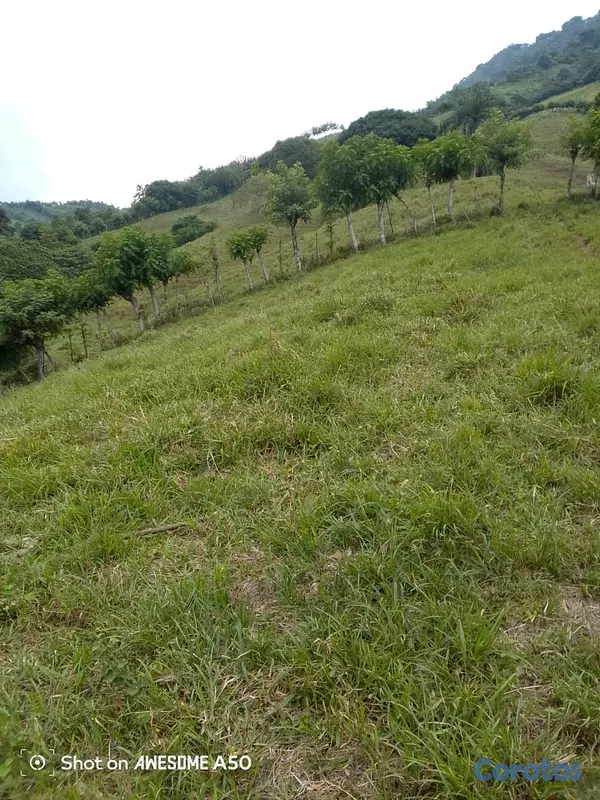 solares y terrenos - finca de 450 tareas con vocación ganadera en yamasa  4