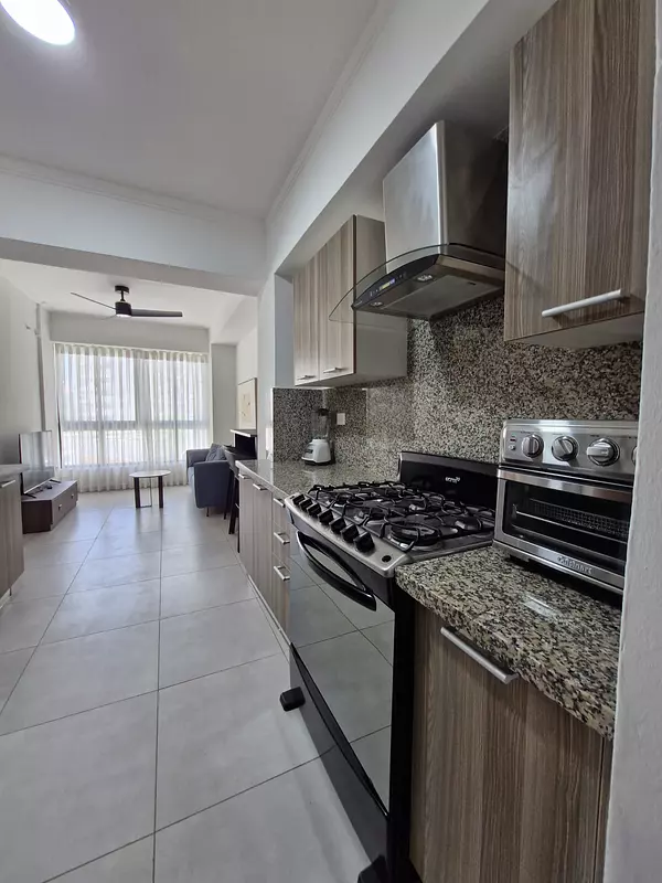 apartamentos - Apartamentos amueblados cerca Av. Mexico 4