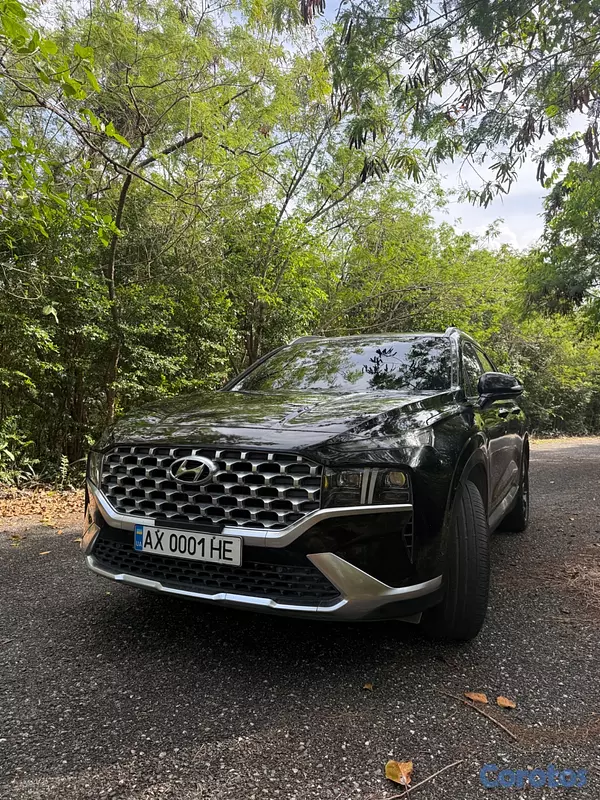 jeepetas y camionetas - Hyundai Santa Fe en excelente estado  12