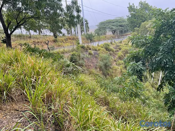 solares y terrenos - Terreno de Venta en San Jose de Las Matas 3