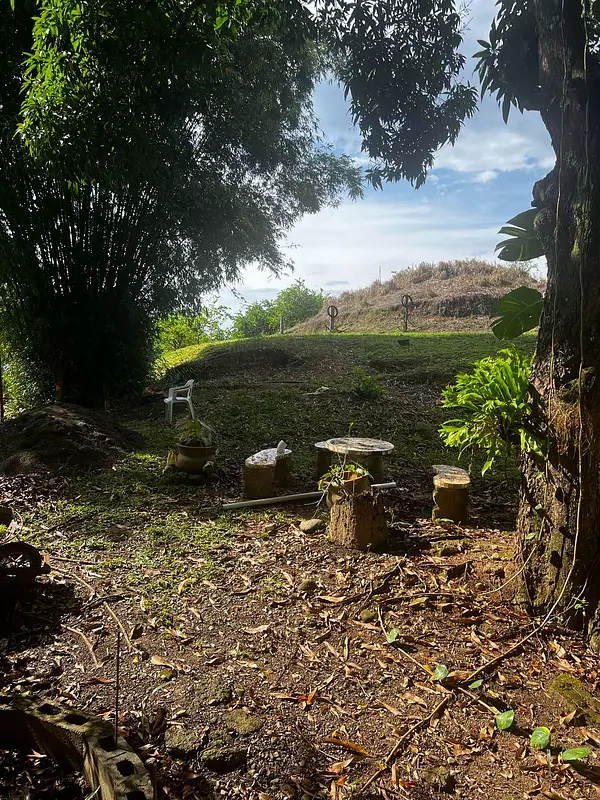 solares y terrenos - Finca de Limón con casa campestre  3