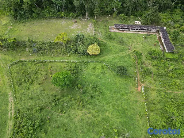 solares y terrenos - Terreno en venta con potencial para proyectos 8