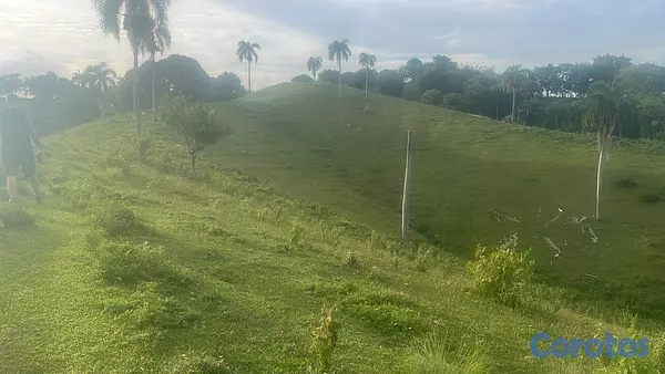 solares y terrenos - Finga ganadera y agrícola en jamao  8