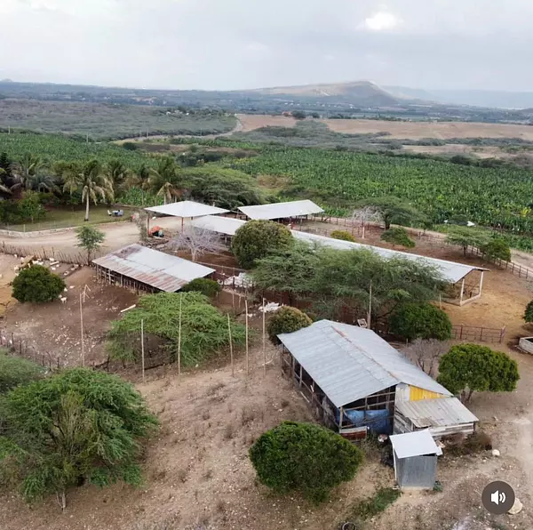 solares y terrenos - Terreno 4,000 Tareas en Amina, Mao 2