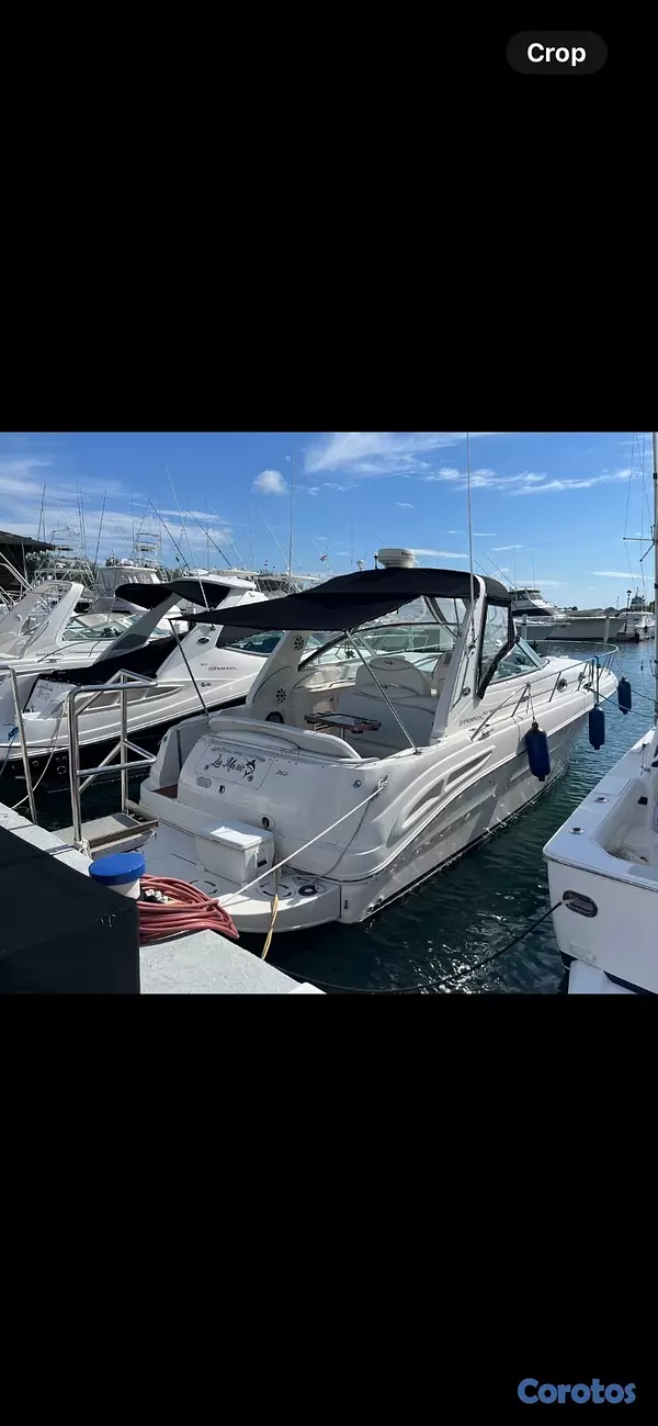 botes - Lancha Sea Ray Sundancer 365 (36 pies) , Diesel 9