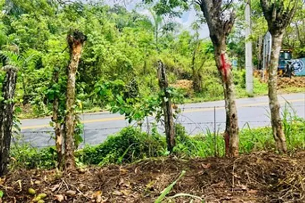 otros inmuebles - Vendo Finca en Monte Plata  4