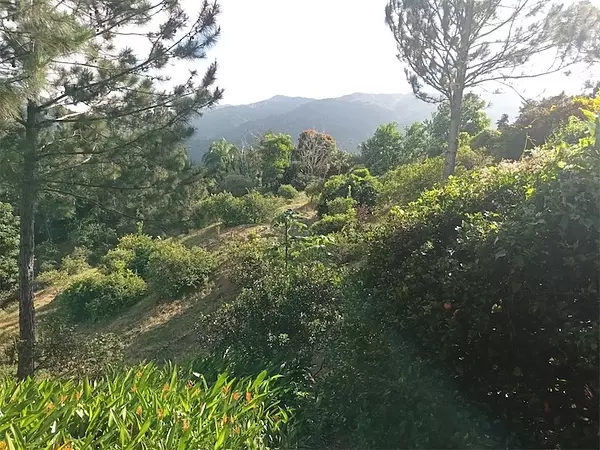 solares y terrenos - Terreno en Venta en JARABACOA 
 1