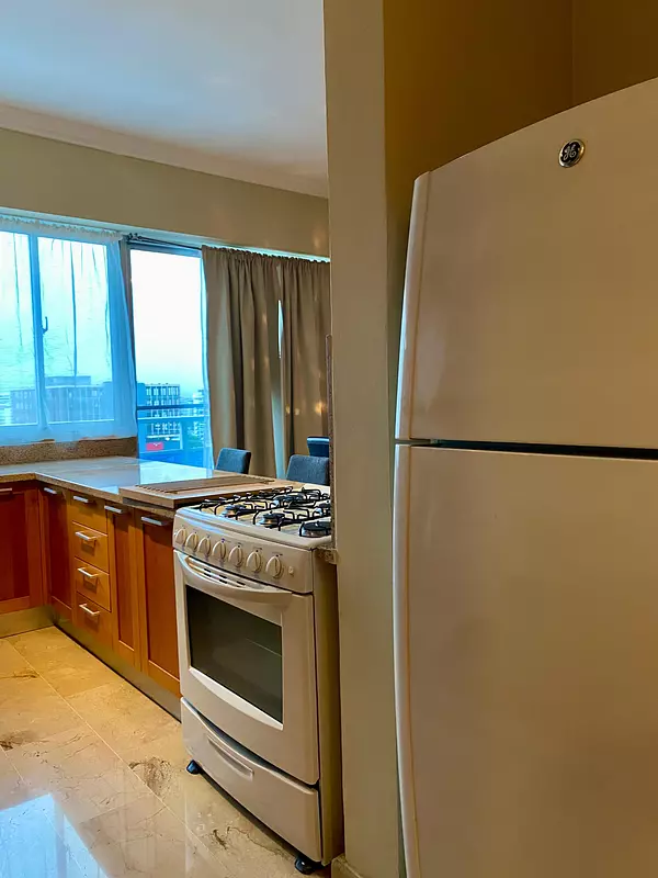 apartamentos - Apartamento en alquiler en Piantini 4