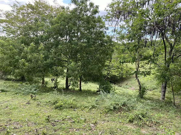 solares y terrenos - finca ganaderas en puerto plata  3