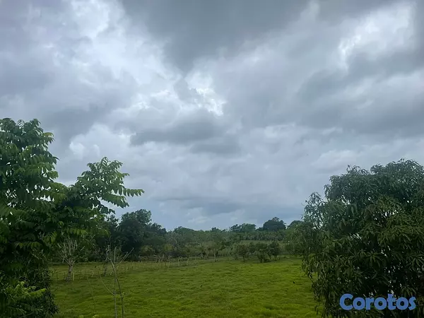 solares y terrenos - Finca Ganadera en Bayaguana de 855 tareas  4