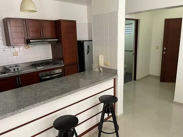 apartamentos - Alquiler apart  1 Habitación amueblado Gascue   9
