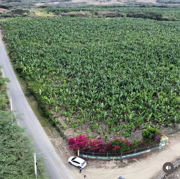 solares y terrenos - Terreno 4,000 Tareas en Amina, Mao 3