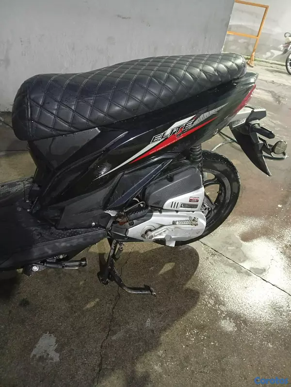 motores y pasolas - Tauro Elite 110 7