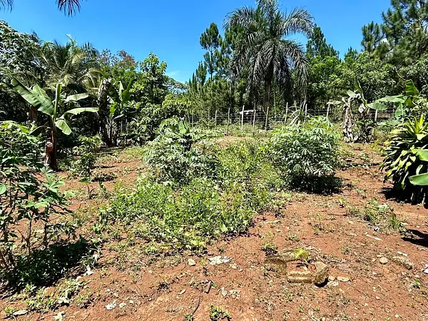 casas - Vendo casa comercial en La Autopista Duarte  10