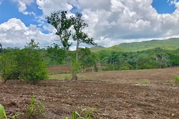 otros inmuebles - Vendo Finca en Monte Plata  5
