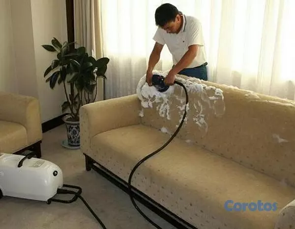 servicios profesionales - Limpieza, Desinfeccion y odorizacion de Alfombras y Muebles. 3