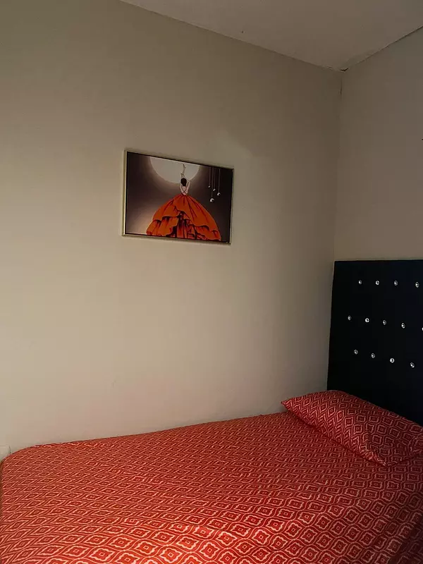 apartamentos - Alquiler Apartamento Amueblado de 2 Habitaciones, Zona Colonial 5