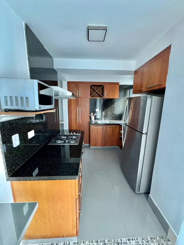 apartamentos - Apartamento en Alquiler Amueblado Naco 10