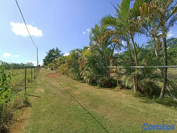 solares y terrenos - Propiedad En Los Mogotes, Villa Altagracia A Solo  7