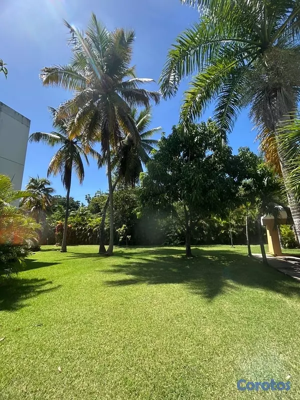 apartamentos - Apartamento 3/3 Mirador Sur con Picina, Tennis, Basket, Parque 3