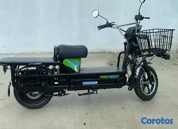 motores y pasolas - Motores eléctricos reforzados para delivey 3
