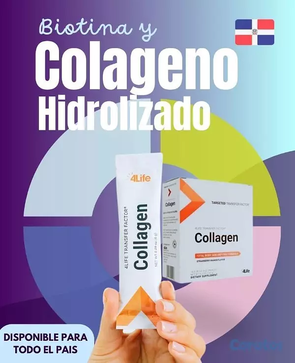 Salud y Equipamiento Médico - Suplementos y proteínas. 4
