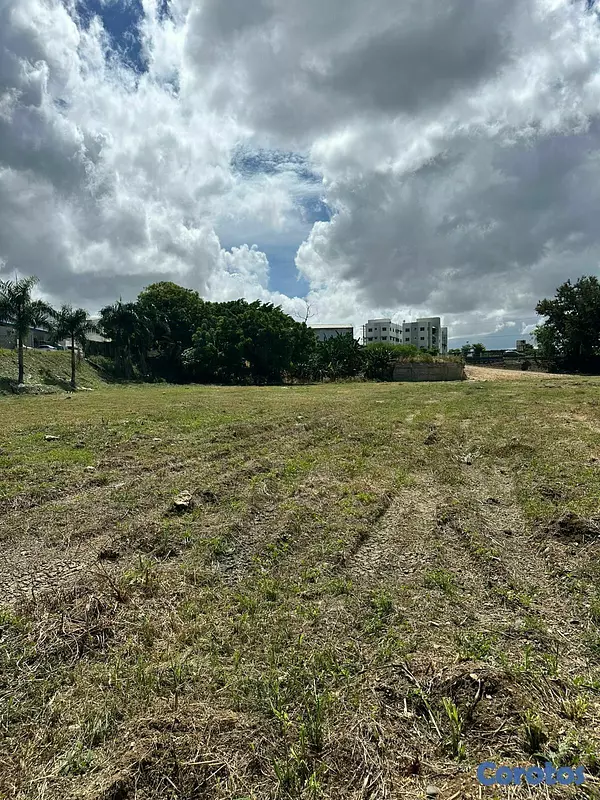 solares y terrenos - Solar en Hato Nuevo Frente a mi vivienda Feliz 8