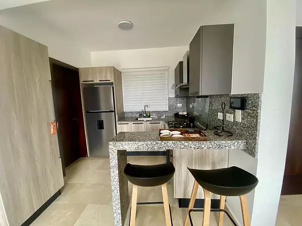 apartamentos - moderno apartamento amueblado en Santiago de renta  8