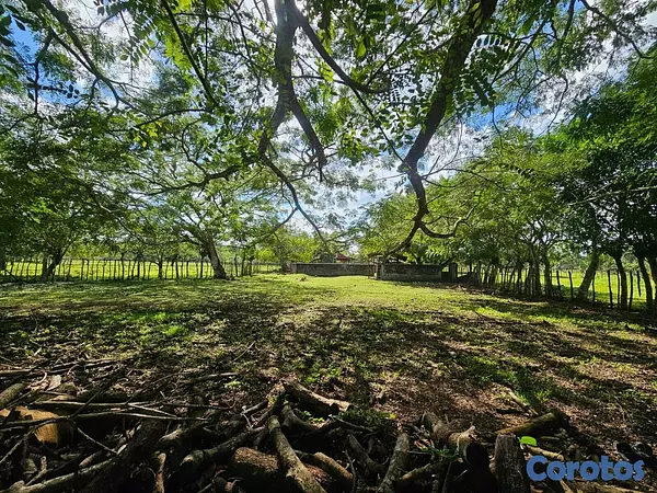 solares y terrenos - Gran Finca Ganadera en San Francisco de Macoris de 8