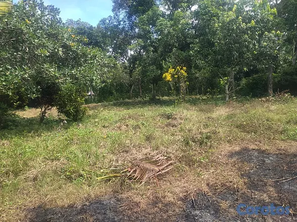 solares y terrenos - finca de 57 tareas con casa campestre en sabana grande de boya  5