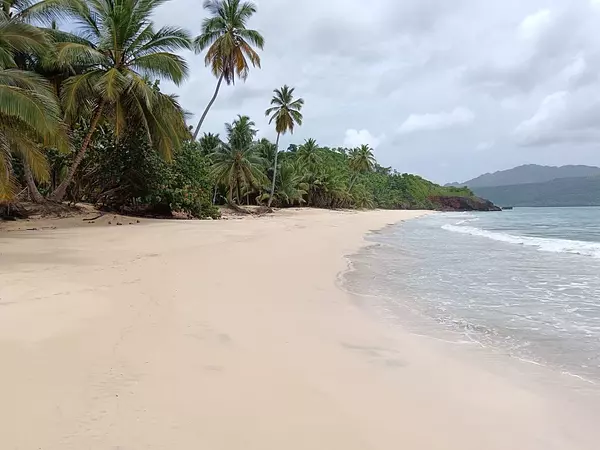 solares y terrenos - Terreno 700,000 mts Playa Rincón, Samaná