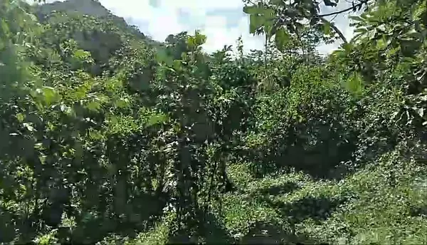 solares y terrenos - Terreno en La Cumbre, Bonao, ideal para villa/hote 5