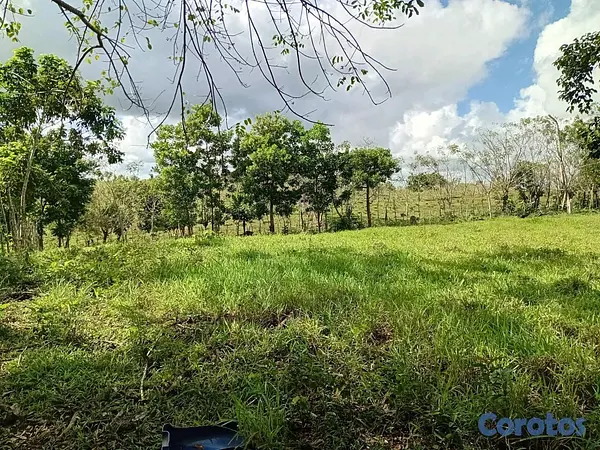 solares y terrenos - finca de 40 tareas en sabanagrande de boya  6